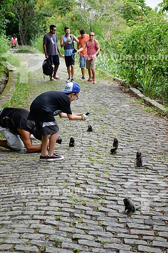  Turistas fotografando mico-estrela (Callithrix penicillata) na trilha da Área de Proteção Ambiental do Morro do Leme  - Rio de Janeiro - Rio de Janeiro (RJ) - Brasil