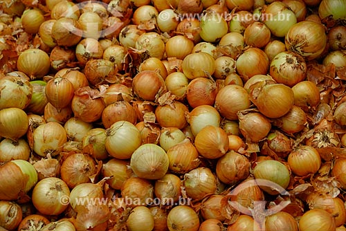  Cebolas orgânicas - Fazenda Vale das Palmeiras  - Teresópolis - Rio de Janeiro (RJ) - Brasil