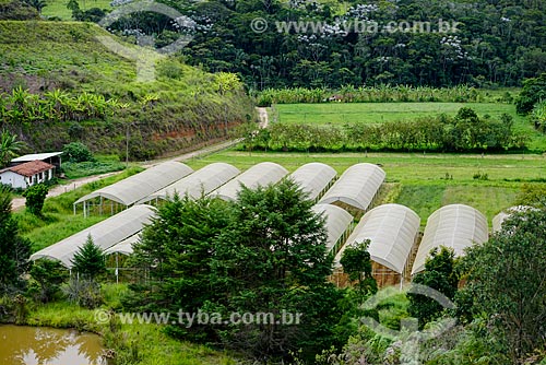  Plantação de hortaliças na fazenda Vale das Palmeiras  - Teresópolis - Rio de Janeiro (RJ) - Brasil