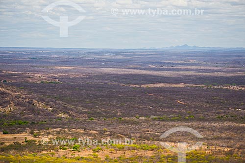  Vista de vegetação de caatinga no sertão do Ceará  - Quixadá - Ceará (CE) - Brasil