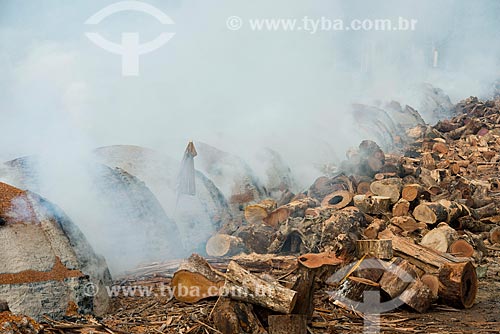  Carvoaria produzindo carvão para siderurgia com sobras de madeira de manejo florestal  - Paragominas - Pará (PA) - Brasil