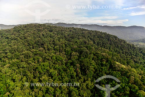  Foto aérea da vegetação de mata atlântica na Serra da Cantareira  - São Paulo - São Paulo (SP) - Brasil