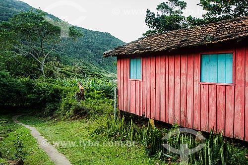  Casa de madeira colorida na comunidade da Praia do Saquinho  - Florianópolis - Santa Catarina (SC) - Brasil