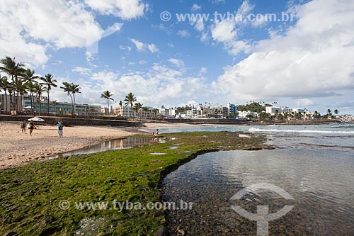  Corais na orla da Praia de Ondina durante a maré baixa  - Salvador - Bahia (BA) - Brasil