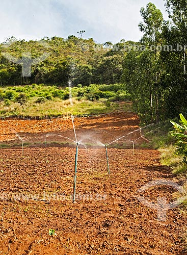  Pivô de irrigação em plantação de inhame entre as cidades de Afonso Cláudio e Laranja da Terra  - Afonso Cláudio - Espírito Santo (ES) - Brasil