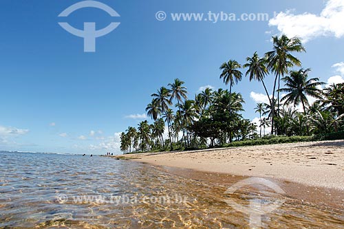  Orla da Praia do Portinho de baixo  - Mata de São João - Bahia (BA) - Brasil