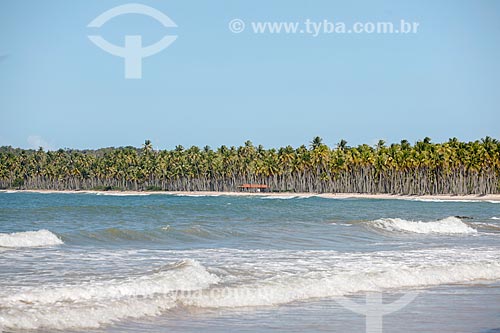  Praia da Coeira  - Cairu - Bahia (BA) - Brasil