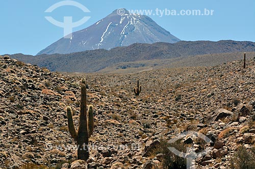  Vista do deserto do Atacama com o Vulcão Licancabur ao fundo  - San Pedro de Atacama - Província de El Loa - Chile