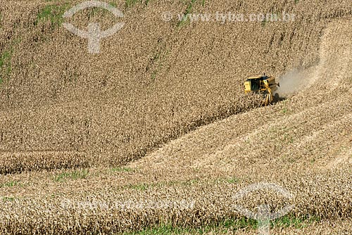  Colheita mecanizada de milho  - Cornélio Procópio - Paraná (PR) - Brasil