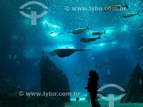  Silhueta de criança no Oceanário de Lisboa  - Lisboa - Distrito de Lisboa - Portugal