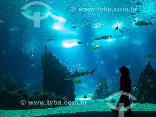  Silhueta de criança no Oceanário de Lisboa  - Lisboa - Distrito de Lisboa - Portugal