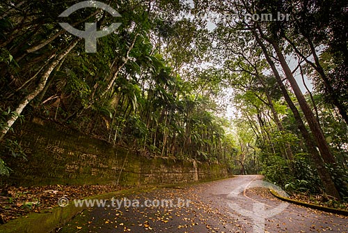  Estrada no Parque Nacional da Tijuca  - Rio de Janeiro - Rio de Janeiro (RJ) - Brasil