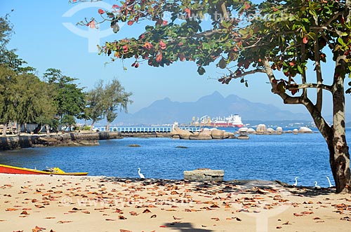  Orla da Ilha de Paquetá  - Rio de Janeiro - Rio de Janeiro (RJ) - Brasil