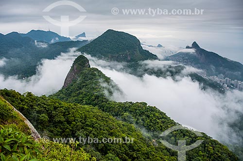  Vista do Cristo Redentor e do Morro Dois Irmãos a partir da trilha da Pedra Bonita no Parque Nacional da Tijuca  - Rio de Janeiro - Rio de Janeiro (RJ) - Brasil