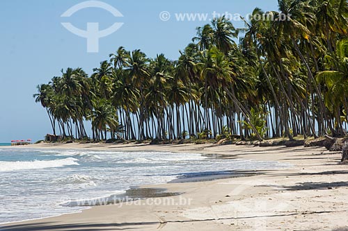  Orla da Praia dos Carneiros  - Tamandaré - Pernambuco (PE) - Brasil