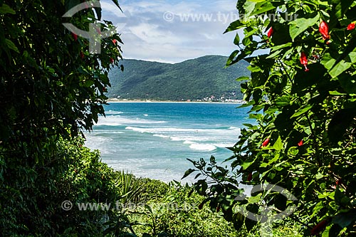  Vista geral da Praia dos Açores  - Florianópolis - Santa Catarina (SC) - Brasil