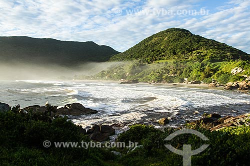  Orla da Praia do Matadeiro  - Florianópolis - Santa Catarina (SC) - Brasil