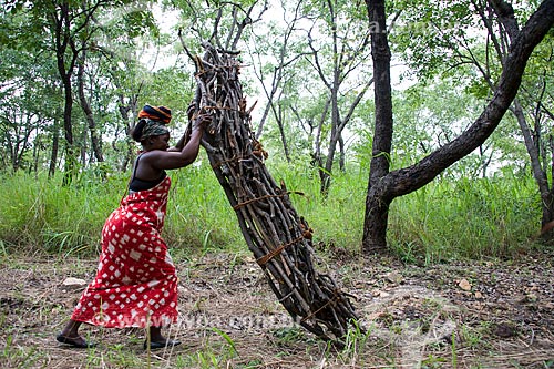  Mulher carregando lenha na Província de Niassa  - Província de Niassa - Moçambique