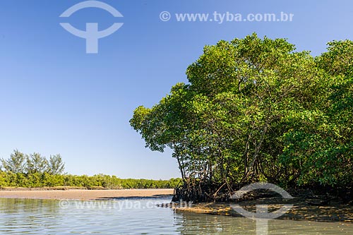  Vista geral da Restinga da Marambaia - área protegida pela Marinha do Brasil  - Rio de Janeiro - Rio de Janeiro (RJ) - Brasil