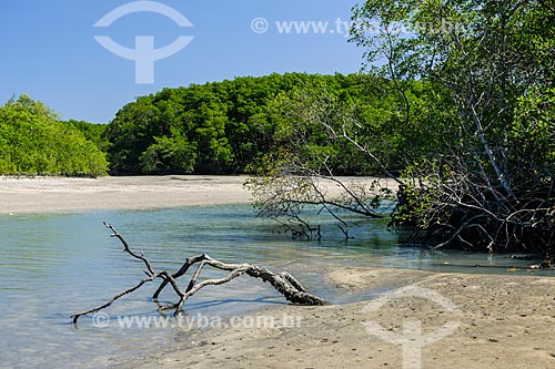  Manguezal da Restinga da Marambaia - área protegida pela Marinha do Brasil  - Rio de Janeiro - Rio de Janeiro (RJ) - Brasil