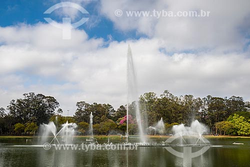  Chafariz no Lago do Ibirapuera - Parque do Ibirapuera  - São Paulo - São Paulo (SP) - Brasil