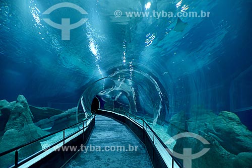  Túnel no interior do AquaRio - aquário marinho da cidade do Rio de Janeiro  - Rio de Janeiro - Rio de Janeiro (RJ) - Brasil