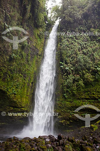  Cascata conhecida com Las Cascadas  - Las Cascadas - Província de Llanquihue - Chile