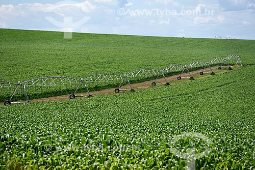  Sistema de irrigação em plantação de milho  - Alto Paraíso de Goiás - Goiás (GO) - Brasil