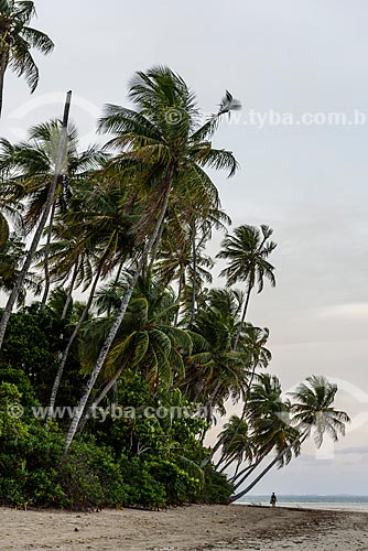  Vista da orla da Praia de Moreré  - Cairu - Bahia (BA) - Brasil