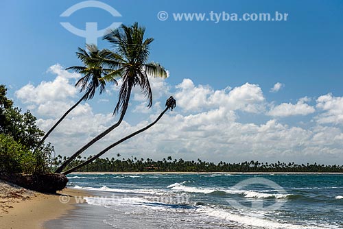  Orla da Praia de Tassimirim  - Cairu - Bahia (BA) - Brasil