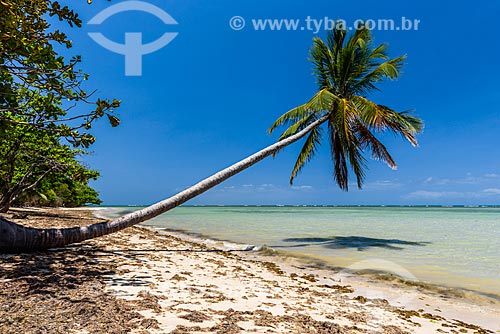  Orla da Praia de Moreré  - Cairu - Bahia (BA) - Brasil