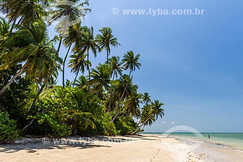  Orla da Praia de Moreré  - Cairu - Bahia (BA) - Brasil