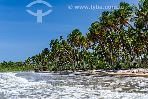  Orla da Praia da Cueira  - Cairu - Bahia (BA) - Brasil