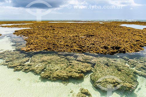  Piscinas naturais na Ponta dos Castelhanos  - Cairu - Bahia (BA) - Brasil