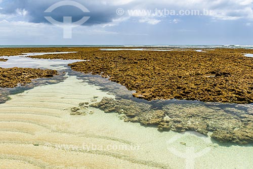  Piscinas naturais na Ponta dos Castelhanos  - Cairu - Bahia (BA) - Brasil