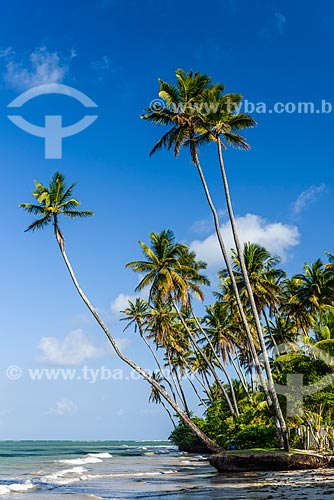  Orla da Praia de Bainema  - Cairu - Bahia (BA) - Brasil