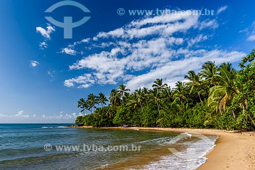  Orla da Praia de Três Coqueiros  - Maraú - Bahia (BA) - Brasil