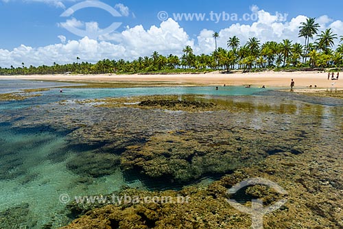  Piscinas naturais da Praia de taipús de fora  - Maraú - Bahia (BA) - Brasil