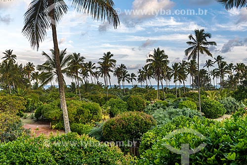  Vista da vegetação com a Praia do Cassange ao fundo  - Maraú - Bahia (BA) - Brasil