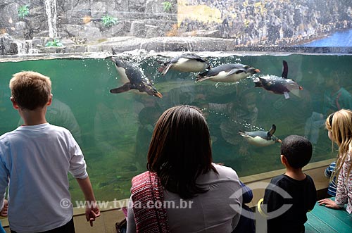  Turistas observando Pinguim-saltador-da-rocha (Eudyptes chrysocome) no Two Oceans Aquarium (Aquário Dois Oceanos)  - Cidade do Cabo - Província do Cabo Ocidental - África do Sul