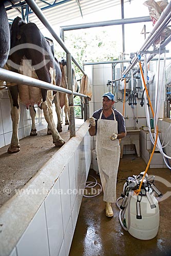  Detalhe de ordenha mecanizada de Gado Holstein-Frísia - também conhecido como Gado Holandês - na Fazenda Serra Azul  - Carmo de Minas - Minas Gerais (MG) - Brasil