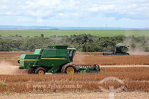  Detalhe de colheita mecanizada de soja  - Jaciara - Mato Grosso (MT) - Brasil