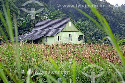  Casa na zona rural da Vila Itoupava  - Blumenau - Santa Catarina (SC) - Brasil