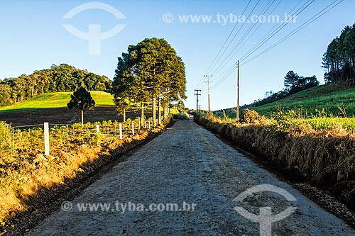  Estrada de Terra no distrito de Linha Pinhal  - Treze Tílias - Santa Catarina (SC) - Brasil