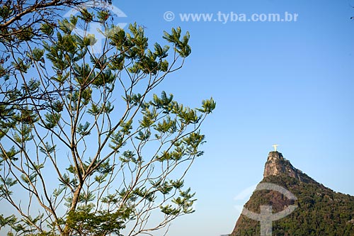  Vista do Cristo Redentor a partir do Mirante Dona Marta  - Rio de Janeiro - Rio de Janeiro (RJ) - Brasil