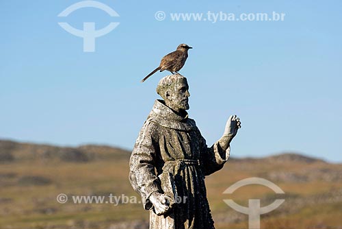  Ave em cima da Estátua de São Francisco de Assis próximo da nascente do Rio São Francisco no Parque Nacional da Serra da Canastra  - São Roque de Minas - Minas Gerais (MG) - Brasil