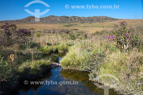  Nascente do Rio São Francisco  - São Roque de Minas - Minas Gerais (MG) - Brasil