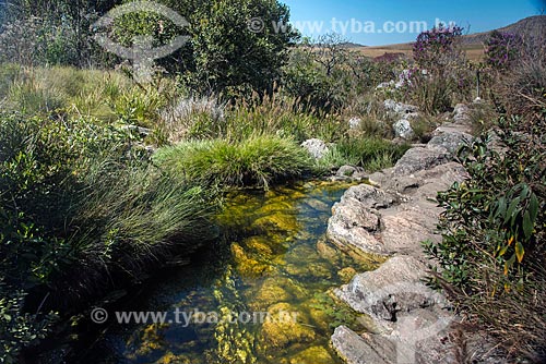  Nascente do Rio São Francisco  - São Roque de Minas - Minas Gerais (MG) - Brasil