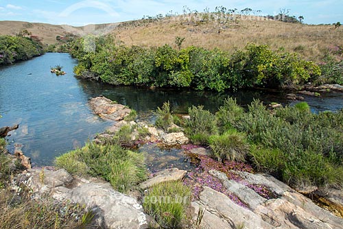  Rio São Francisco na parte alta da Serra da Canastra  - São Roque de Minas - Minas Gerais (MG) - Brasil