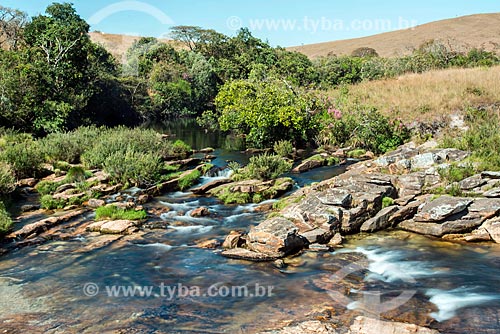  Rio São Francisco na parte alta da Serra da Canastra  - São Roque de Minas - Minas Gerais (MG) - Brasil